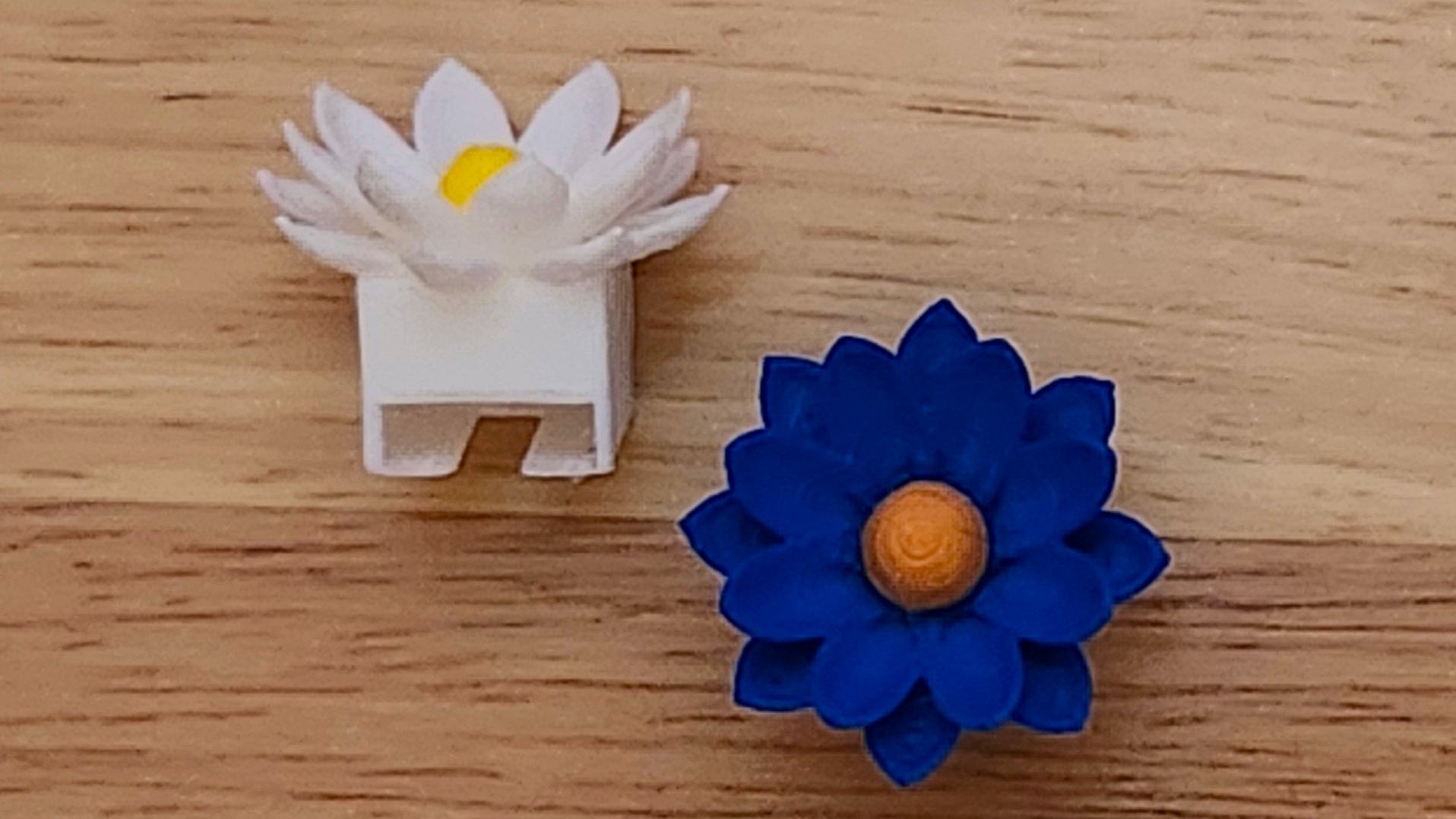Two Lotus 3D Bases: one from top, one from side