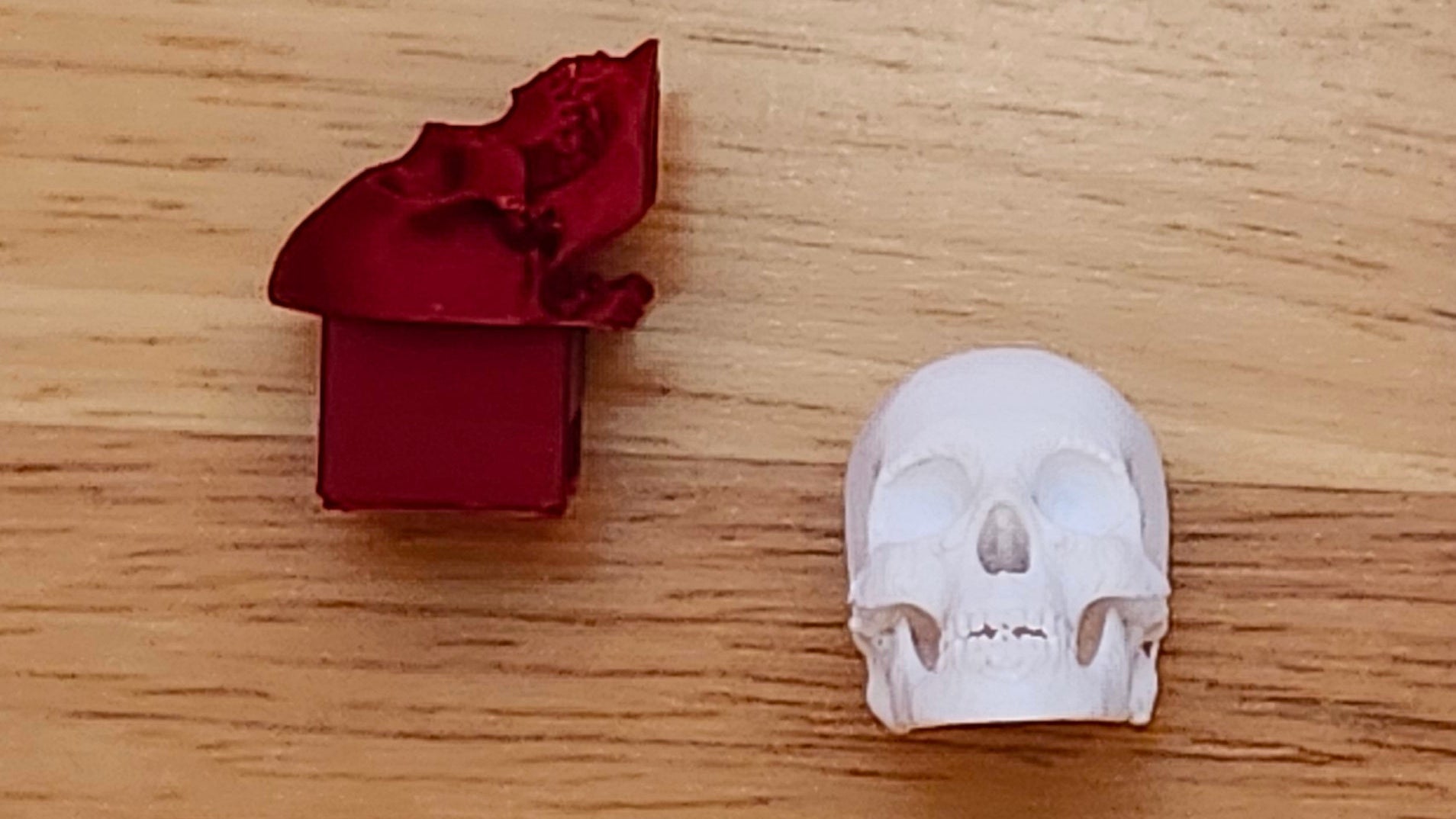 Two Skull Bases, one from front other from side