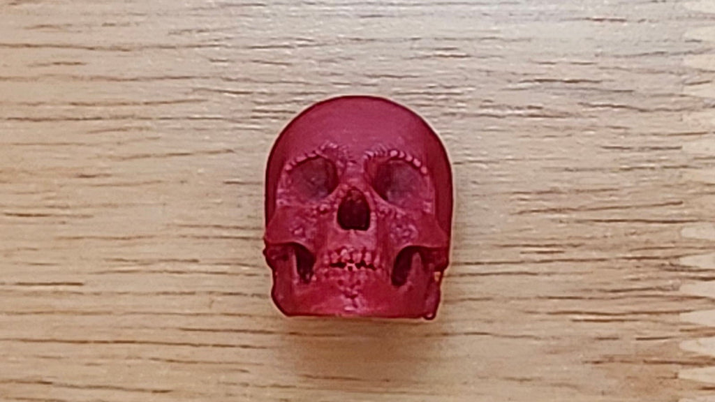 Skull Base